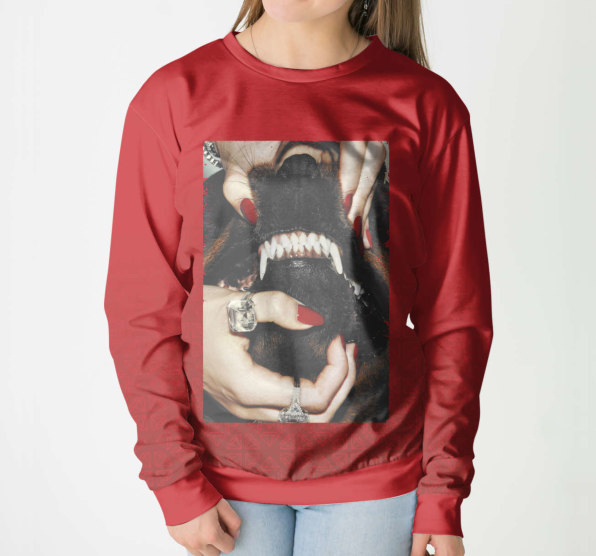 Свитшот женский Angry Dog Red
