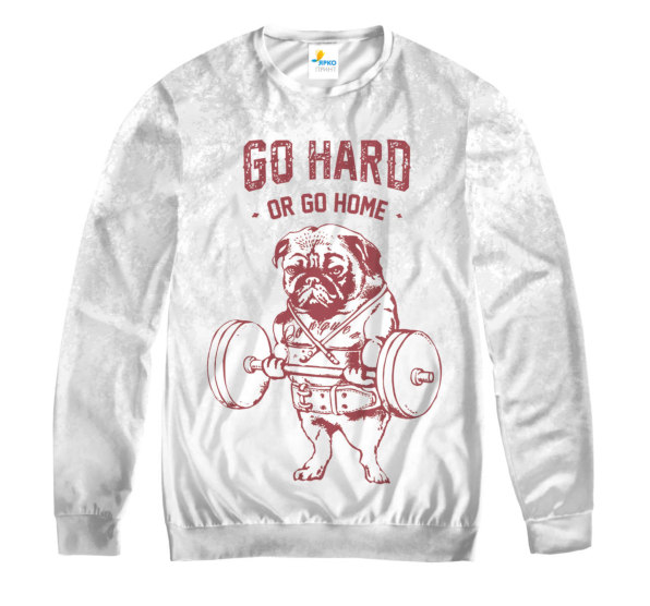 Свитшот мужской Go Hard or go Home