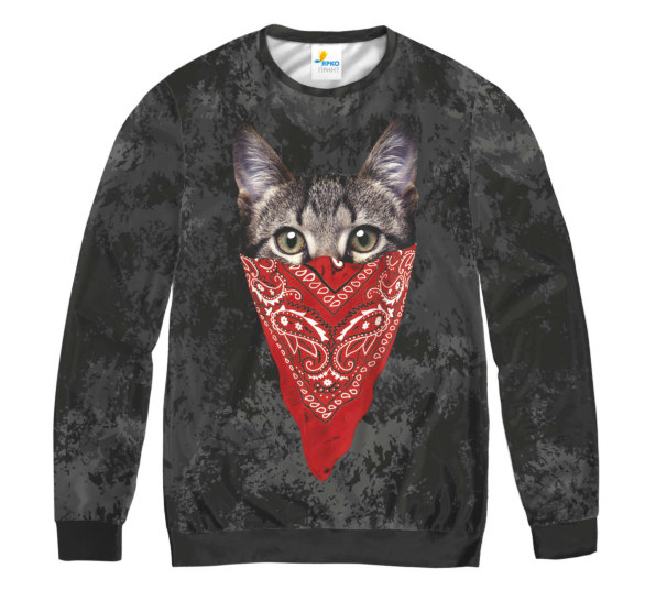 Свитшот мужской Кот в маске Dark