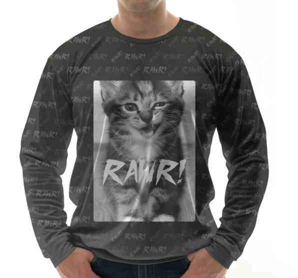 Свитшот мужской Rawr kitten Black